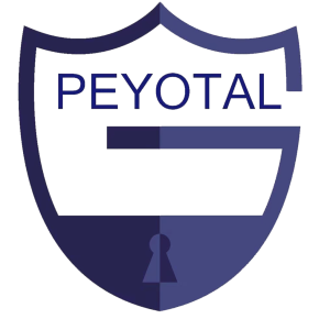 default-logo